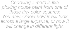 Choosing a mate is like 
picking house paint from one of those tiny color squares: 
You never know how it will look across a large expanse, or how it will change in different light.